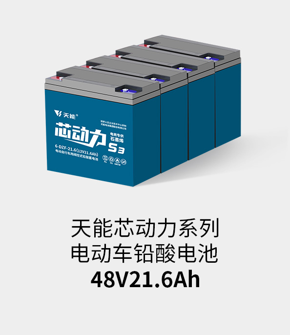 公海jcjc5500电池48v20ah