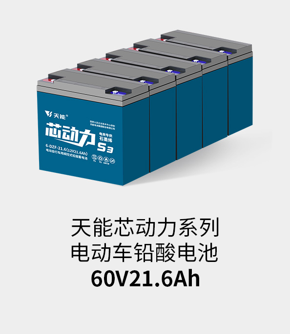 公海jcjc5500电池60v20ah
