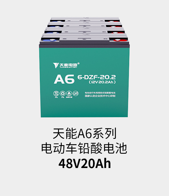 公海jcjc5500电池48v20ah