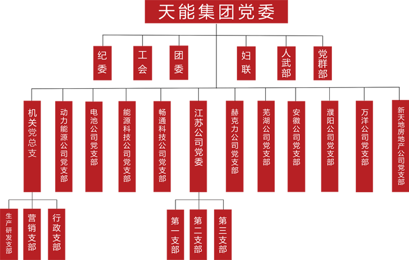 公海jcjc5500建团党委组织架构