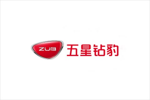 公海jcjc5500电池合作伙伴 五星钻豹电动车